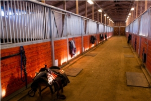 Saddle Center Path Horse Paddack Equestrian Stable