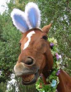 horse-easter-bunny